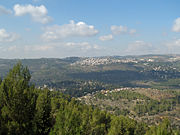View of Jerusalem Forest from Yad Vashem