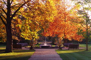 Autumn in the Walled Garden of the Botanic Garden