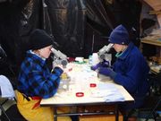 Two researchers studying plankton through microscopes.