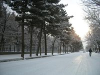 Shar-e Naw Park during winter