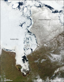 In late spring (May), large chunks of ice float near the eastern shore of the bay, while to the west, the center of the bay remains frozen. Between 1971 and 2007, the length of the ice-free season in the southwestern part of the Hudson Bay — historically the last area to thaw — increased by about seven days.