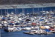 Lake Mead Marina, a place to rent or fuel boats