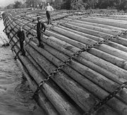 A massive log raft headed downriver in 1902, containing an entire year's worth of logs from one timber camp.