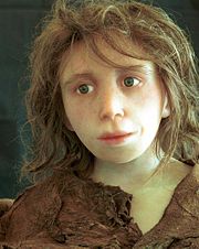 Reconstruction of a NeanderthaI child from Gibraltar (Anthropological Institute, University of Zürich).