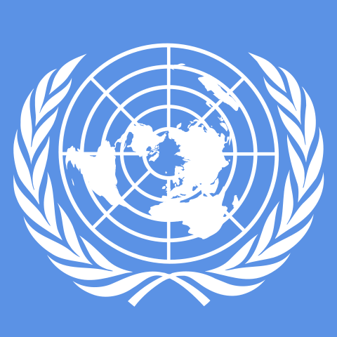 Image:Small Flag of the United Nations ZP.svg