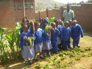 Children growing carrots in Malawi