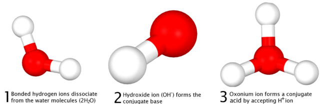 Image:Bronsted-lowry-3d-explanation-diagram.png