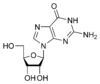 Guanosine