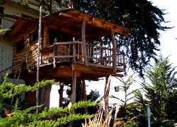 Elaborate kids' tree house