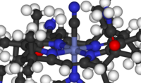 The octahedral cobalt centre of Vitamin B12