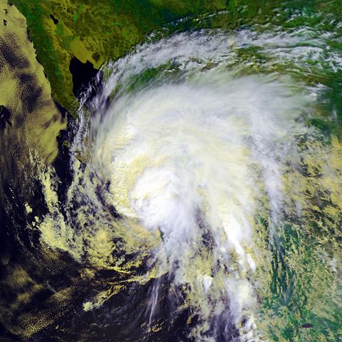 Image:Hurricane Marty 22 sept 2003 1800Z.jpg