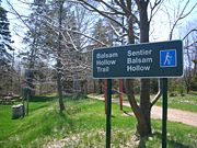 Sign marking trail through Balsam Hollow.