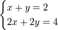 \begin{cases}x + y = 2 \\ 2x + 2y = 4\end{cases}