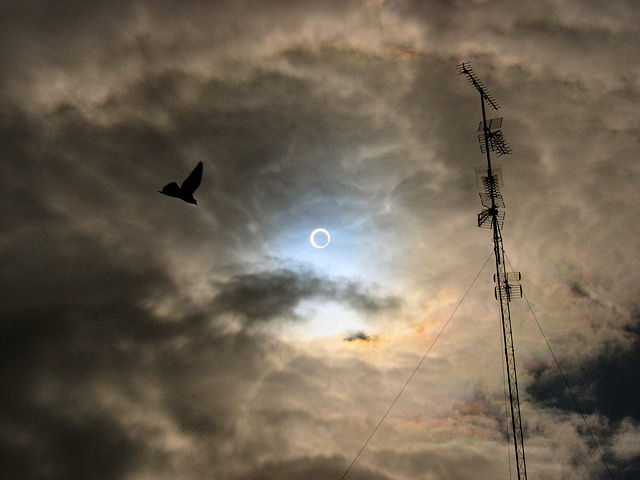 Image:Eclipse Valladolid October 3 2005 -02.jpg