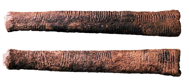 Image:Ishango bone.jpg