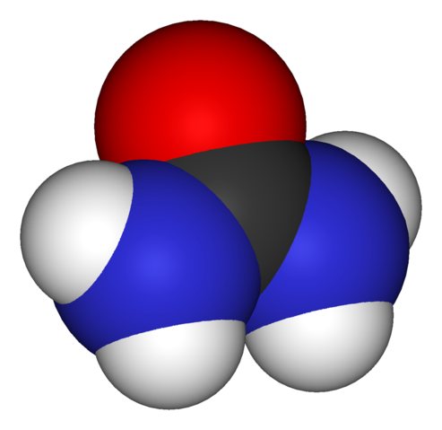 Image:Urea-3D-vdW.png