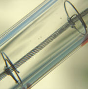 Closeup of a tungsten filament inside a halogen lamp.