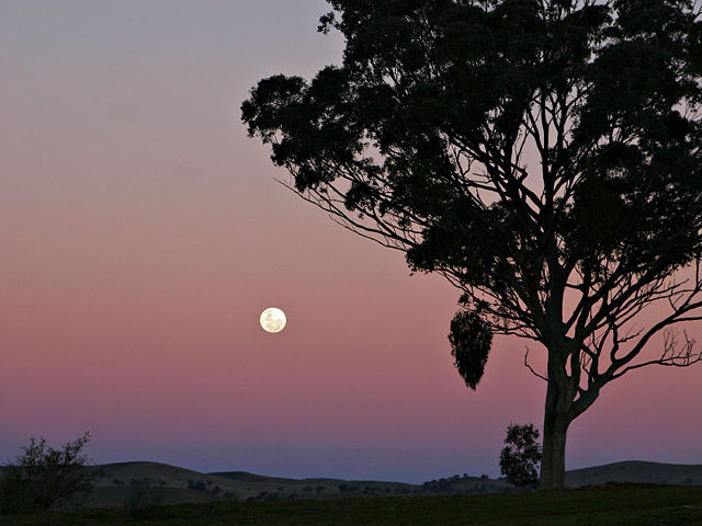 Image:Moon and red blue haze.jpg