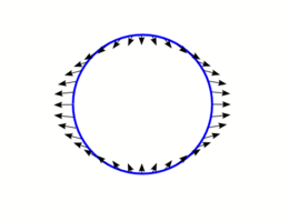 The Moon's (or Sun's) gravity differential field at the surface of the earth is known as the tide generating force. This is the primary mechanism that drives tidal action and explains two tidal equipotential bulges, accounting for two high waters per day.