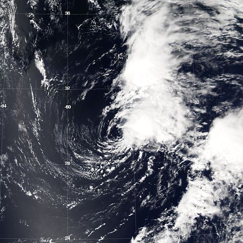 Image:TS Ana 2003.jpg