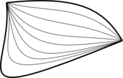 The two bold paths shown above are homotopic relative to their endpoints.  Thin lines mark isocontours of one possible homotopy.