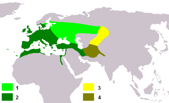 Image:Carduelis carduelis map.png