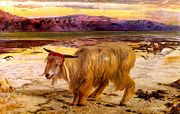 The Scapegoat by William Holman Hunt (1854).