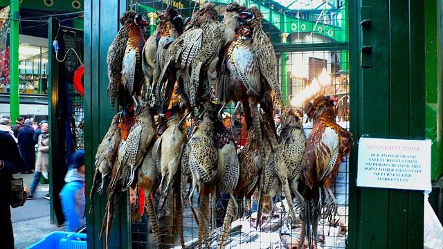 Image:Game birds Borough Market.jpg