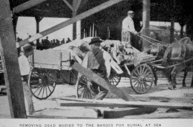 Image:Galveston - 1900 bodies.jpg
