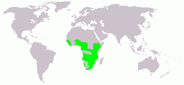 Image:Actophilornis africana map.png