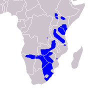 Range map of The Plains zebra