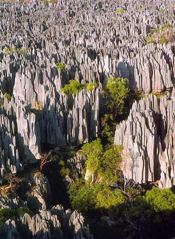 Image:Tsingy de Bemaraha.jpg