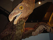 Therizinosaurus model, Royal Ontario Museum.