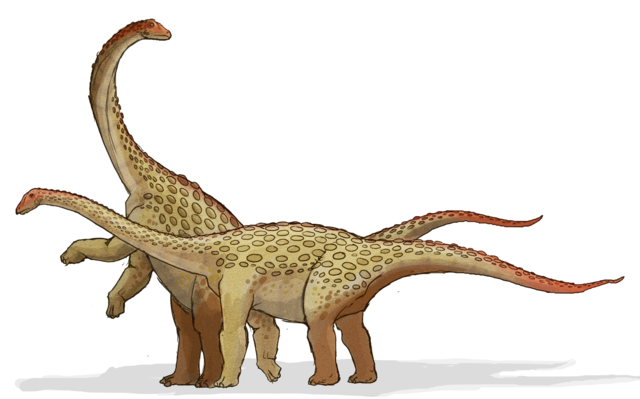 Image:Saltasaurus dinosaur.png