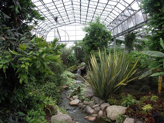 Image:Duthie Park - Winter Gardens.jpg