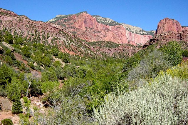 Image:Taylor Creek with Horse Ranch Mountain in background.jpeg