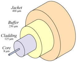 A typical single-mode optical fiber, showing diameters of the component layers.