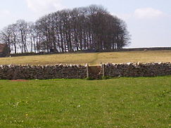 none The Mendip Hills