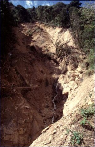 Image:Mitch-San Juancito Mudslide.JPG