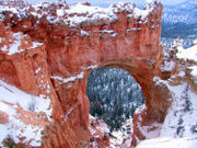 Erosion of sedimentary rocks has created natural arches.