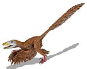 Illustration of Deinonychus antirrhopus