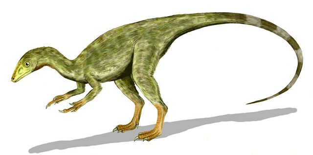 Image:Compsognathus BW.jpg