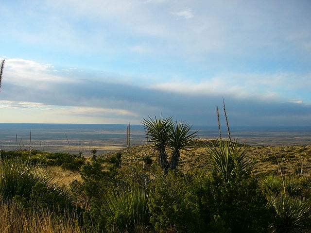 Image:Carlsbad caverns entrance.jpg