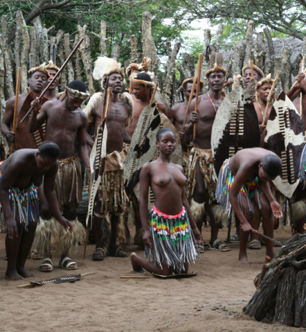 Image:Zulu dance (cropped).PNG