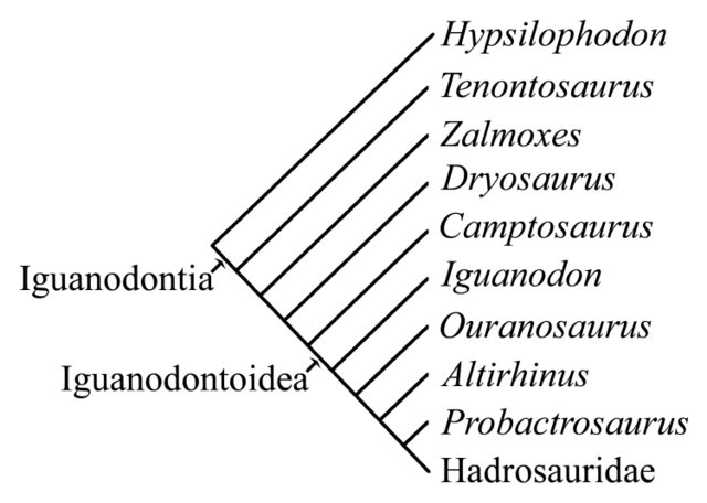 Image:Iguanodontia2.png