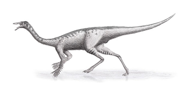 Image:Gallimimus Steveoc86.jpg