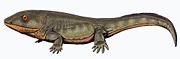 Pederpes, the most primitive Mississippian tetrapod