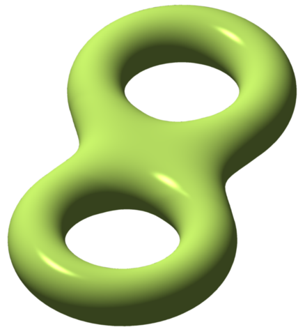 Image:Double torus illustration.png