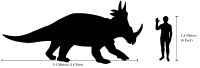 Styracosaurus compared in size with a human.