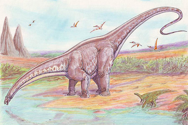 Image:Apatosaurus33.jpg